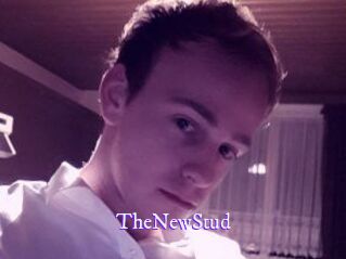 TheNewStud