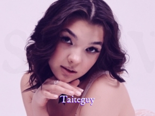 Taiteguy