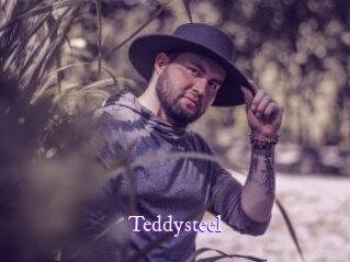 Teddysteel