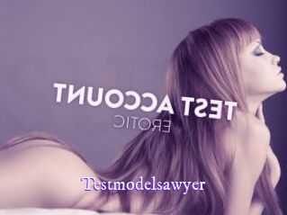 Testmodelsawyer