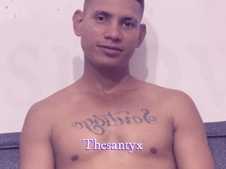 Thesantyx