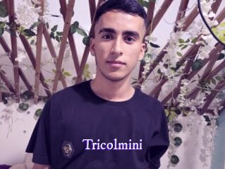 tricolmini Super Webcam