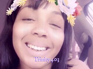 Trinity403
