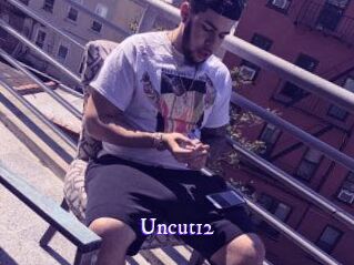 Uncut12 Super Webcam