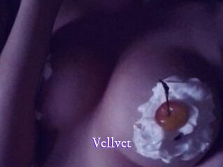 Vellvet