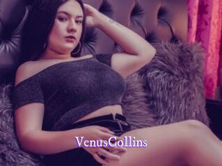 VenusCollins