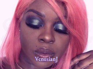 VenusianJ