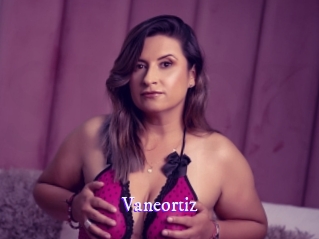 vaneortiz Super Webcam