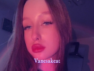 Vanesakeat