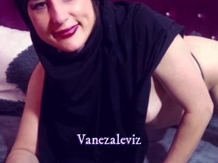 Vanezaleviz