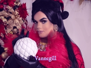 Vannegill