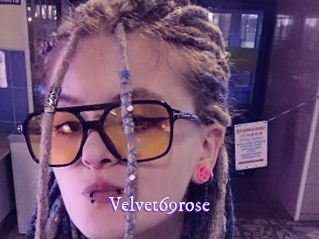 Velvet69rose