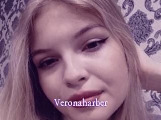 veronaharber Super Webcam
