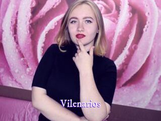 vilenarios Super Webcam