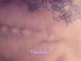 vinsdelice Super Webcam