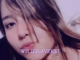 WILDSLAVEKTI