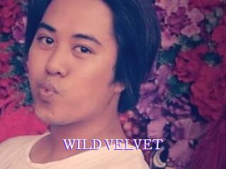 WILD_VELVET