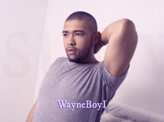 WayneBoyI