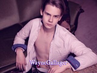 WayneGallager