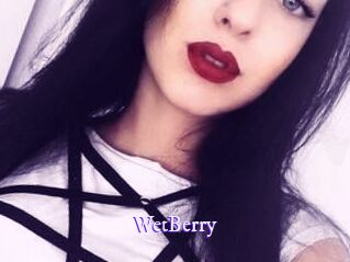 WetBerry Super Webcam