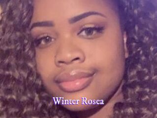 Winter_Rosea