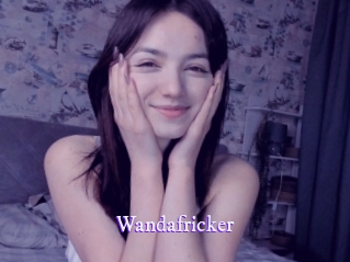 wandafricker Super Webcam