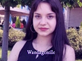 wandagentile Super Webcam