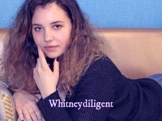 Whitneydiligent