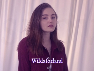 wildaforland Super Webcam