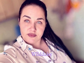 Wilddaisy