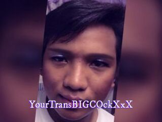 YourTransBIGCOckXxX