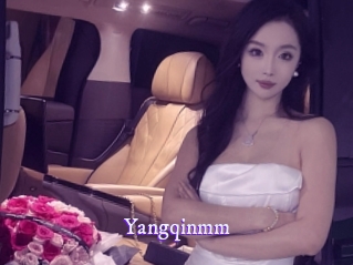 Yangqinmm
