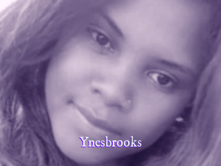 Ynesbrooks