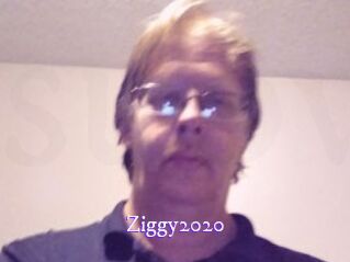 Ziggy2020