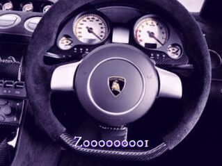 Z000000001