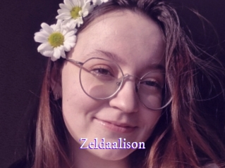 zeldaalison Super Webcam