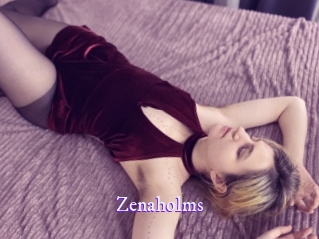 zenaholms Super Webcam