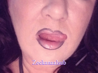Zoekanaalsub